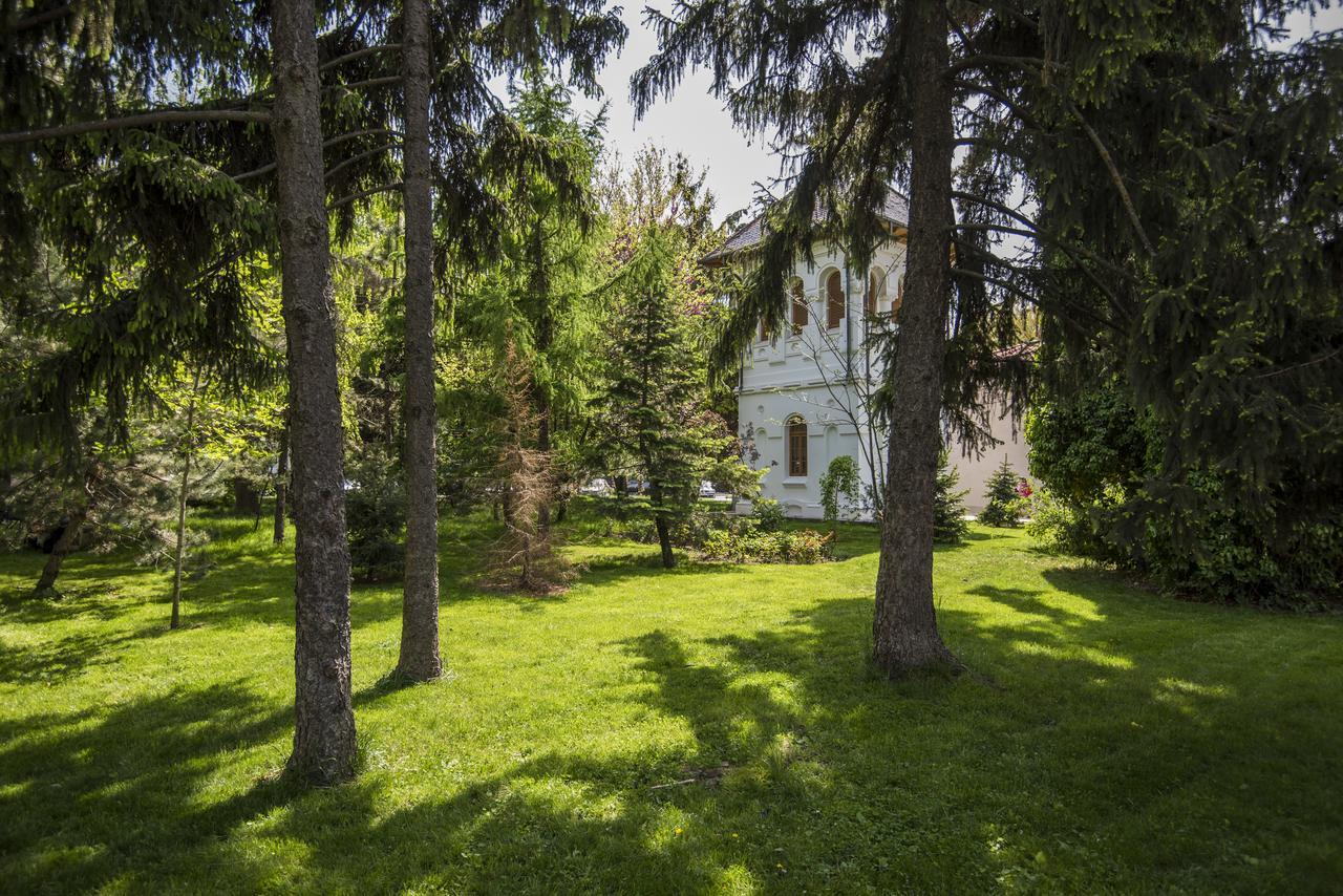 Hotel Belvedere Brăila Exteriér fotografie